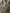 Women's Boho Tassel Summer Dress | Maxi