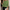 Ladies' Polka Dot Knit Jumper | Chic, Comfy, Year-Round Essential