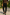 Stylish Men's Trousers | Comfortable, Versatile, Tailored Fit