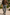 Stylish Men's Trousers | Comfortable, Versatile, Tailored Fit