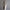 Elegant Women's Long Trench Coat | Warm, Stylish, Versatile Essential