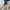 Women's Platform Sneakers | Walking