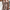 Women's Petite Party Wear Jumpsuit | Wide Leg