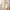 Eimear | Chic Women's Winter Overcoat | Insulated, Waterproof, Stylish Comfort