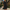 Women's Elegant Embroidered Summer Dress | Mini