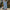 Women's Elegant Embroidered Summer Dress | Mini