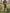 Ballymore | Stylish Women's Gardening Overall | Comfortable, Durable, Versatile Fit