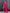 Women's Petite Size Jumpsuit | Wedding