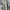 Women's Jean Jumpsuit | Petite Size