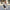 Luna Belle | Chic Women's Overcoat for Winter Elegance | Warm, Vegan, Sustainable