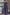 Women's Petite Size Jumpsuit | Wide Leg