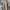 Women's Jean Jumpsuit | Petite Size