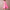 Women's Elegant A-Line Party Dress | Midi