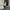 Luna Belle | Chic Women's Overcoat for Winter Elegance | Warm, Vegan, Sustainable