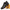 Finnian | Stylish Barefoot Footwear for Active Lifestyles | Lightweight, Flexible, Supportive