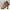 Finnian | Stylish Barefoot Footwear for Active Lifestyles | Lightweight, Flexible, Supportive