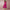 Women's Elegant A-Line Party Dress | Midi