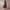 Women's Elegant A-Line Party Dress | Midi