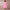 Women's Elegant A-Line Party Dress | Midi