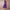 Women's Elegant A-Line Party Dress | Midi