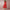 Women's Elegant A-Line Party Dress | Midi