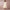 Women's Elegant A-Line Party Dress | Midi