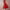 Women's Elegant A-Line Party Dress | Midi