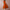 Women's Elegant A-Line Party Dress | Midi