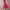 Women's Elegant A-Line Party Dress | Midi