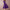 Women's Elegant A-Line Party Dress | Midi