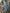 Women's Boho Floral Summer Dress | Maxi