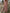 Women's Boho Floral Summer Dress | Maxi